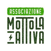 Le erbe spontanee edibili. Impariamo a riconoscerle