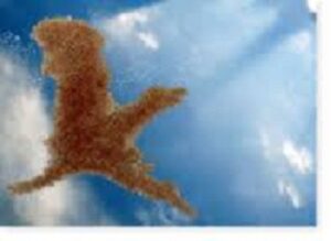 A Taranto il convegno “Cultura, scienza, spiritualità”