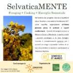 ant da mail di calculli