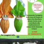 Uova di Opera Don Bonifacio