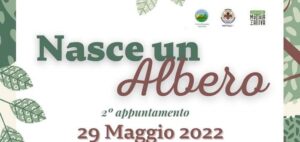 “Nasce un albero”. Secondo appuntamento