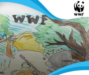 Completata la liberazione delle testuggini di Hermann, ora il monitoraggio con radio tracking