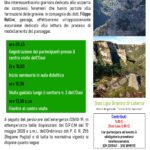 Scolpite_nella_roccia_2022 – LIPU (2)