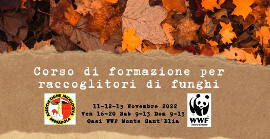 All’OASI Monte Sant’Elia un corso di formazione per raccoglitori di funghi